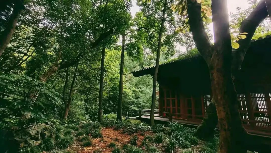 山房十二時辰——杭州靈隱全實木禪房插圖1 山房十二時辰——杭州靈隱全實木禪房插圖1