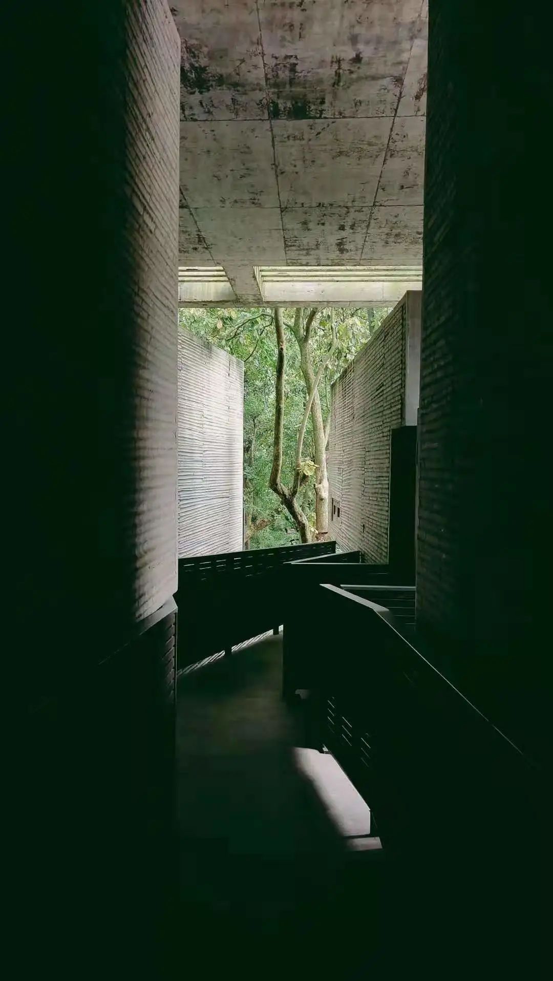 山房十二時辰——杭州靈隱全實木禪房插圖5 山房十二時辰——杭州靈隱全實木禪房插圖5