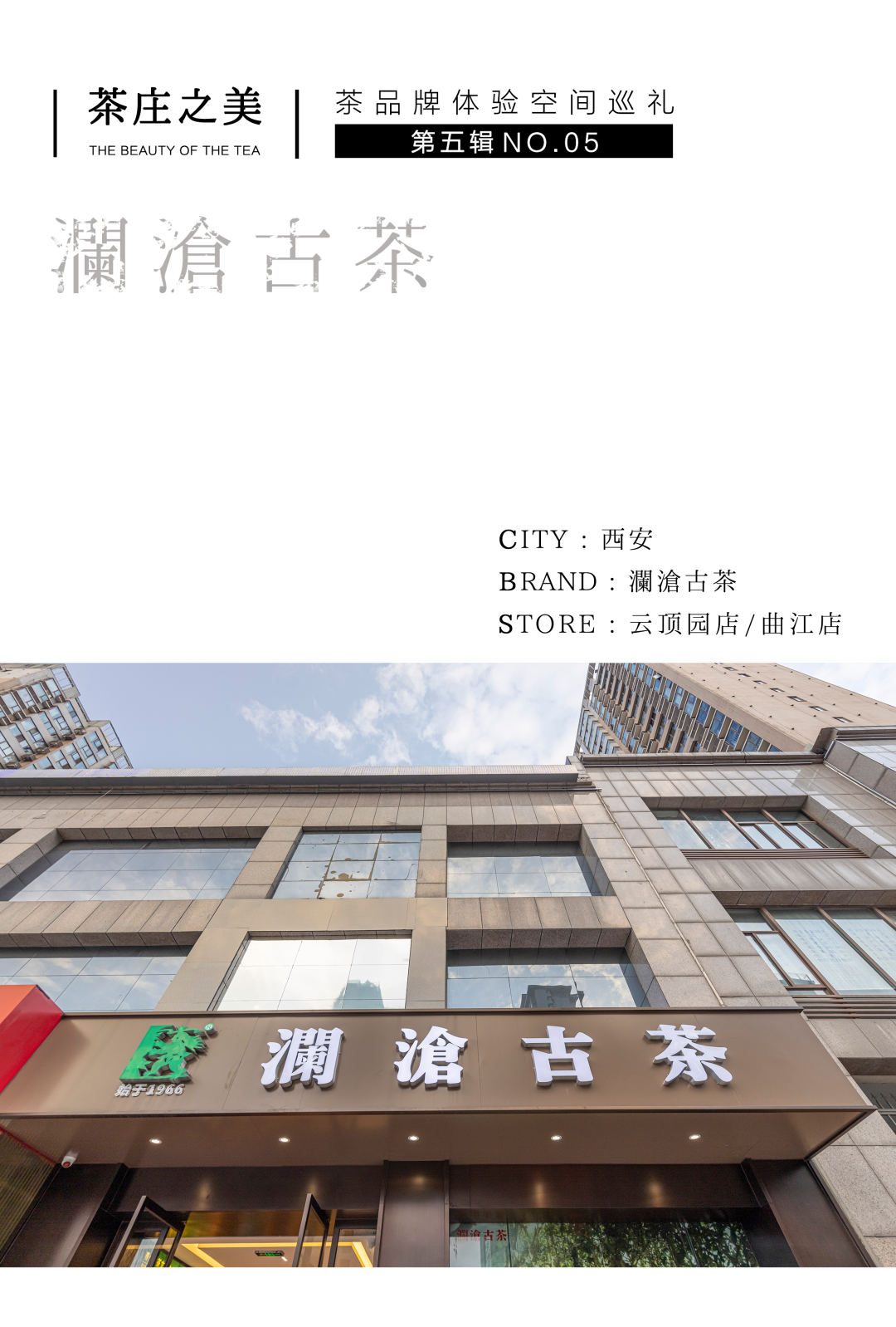 茶品牌體驗空間巡禮第五輯 | 生活里的瀾滄古茶插圖 茶品牌體驗空間巡禮第五輯 | 生活里的瀾滄古茶插圖