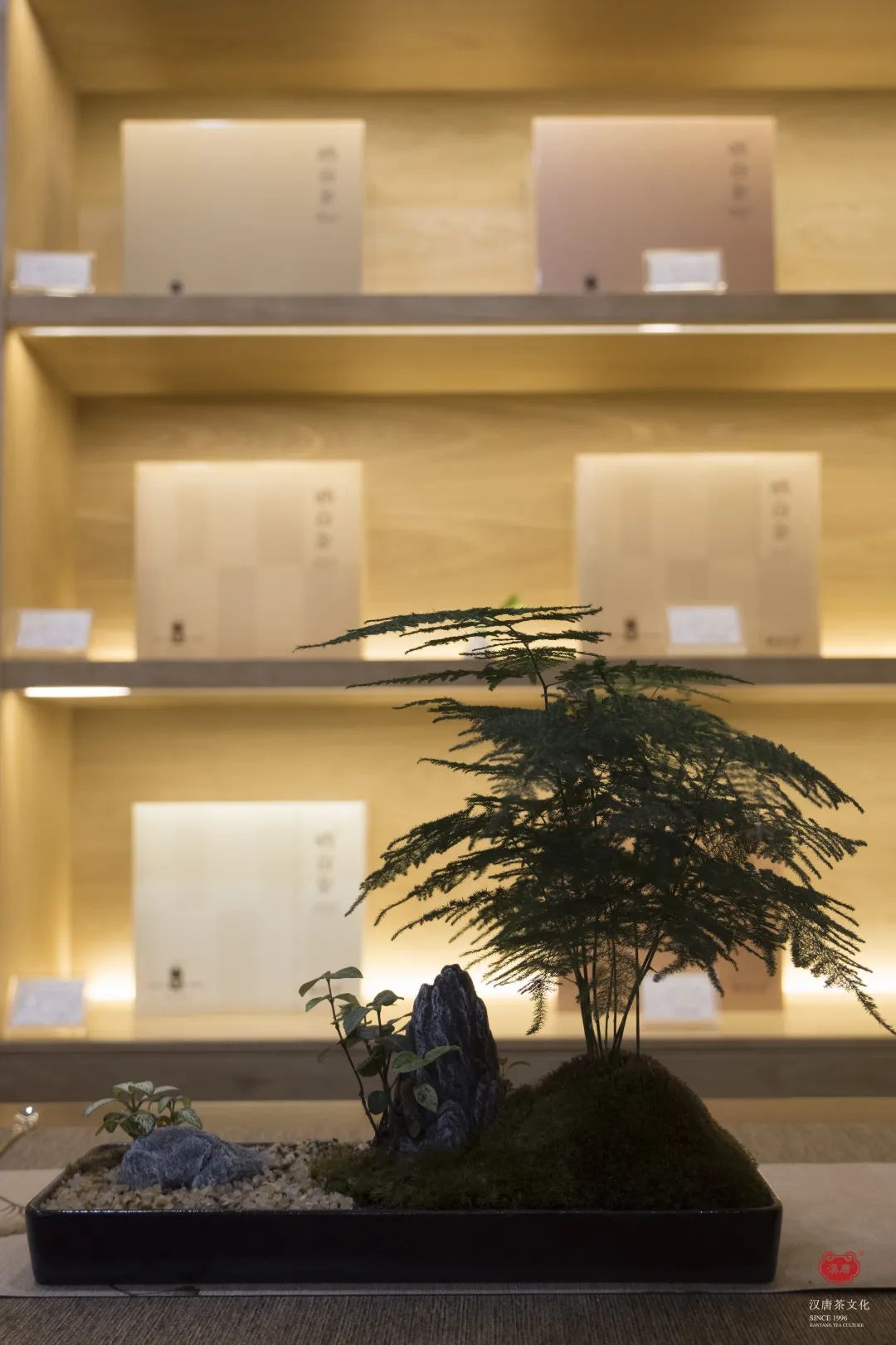 茶品牌體驗(yàn)空間巡禮第四輯 | CBD里的摩登品品香插圖9 茶品牌體驗(yàn)空間巡禮第四輯 | CBD里的摩登品品香插圖9