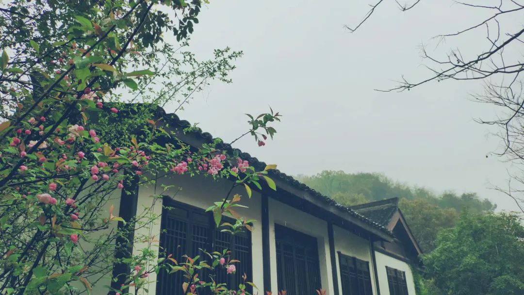 杭州茶書院啟幕 | 當(dāng)代「韓熙載夜宴」，復(fù)現(xiàn)中國文人雅趣生活插圖16