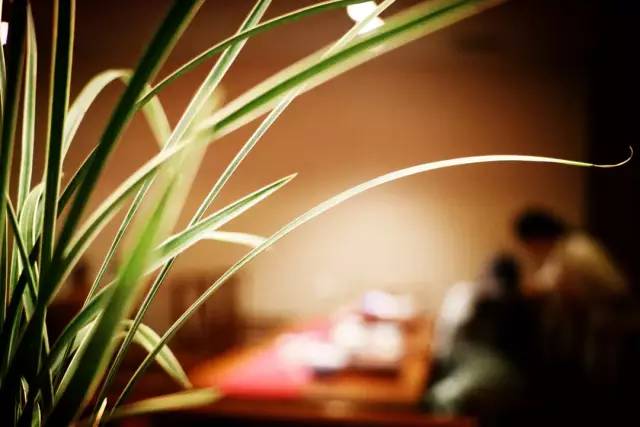 漢唐鄭州店 | 鳳凰茶城攜手招商銀行中秋雅集插圖13 漢唐鄭州店 | 鳳凰茶城攜手招商銀行中秋雅集插圖13