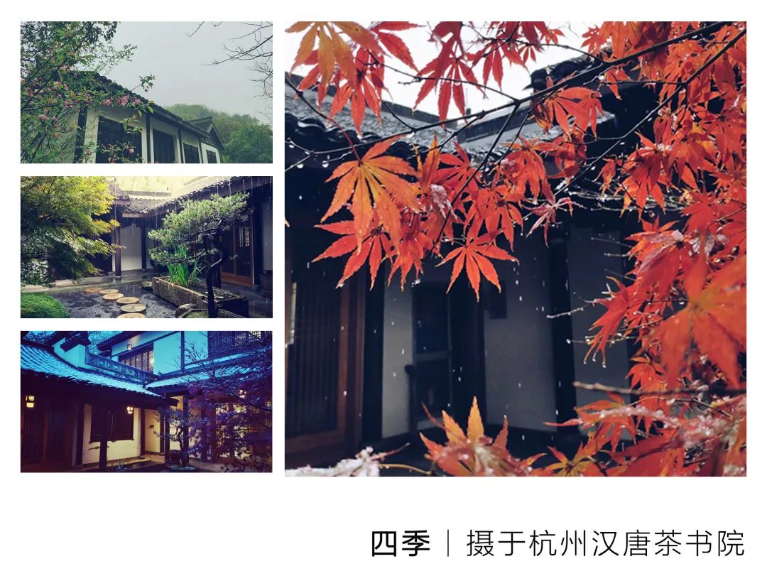 特別策劃 | 茶室中國(guó) NO.1 時(shí)節(jié)的詩意插圖7 特別策劃 | 茶室中國(guó) NO.1 時(shí)節(jié)的詩意插圖7
