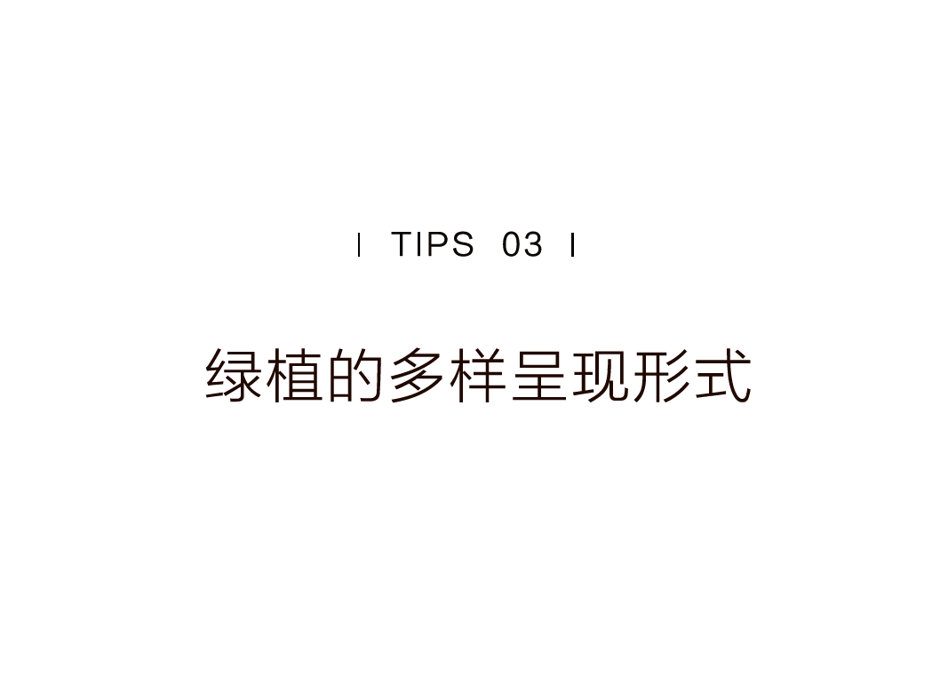 特別策劃 | 茶室中國(guó) NO.1 時(shí)節(jié)的詩意插圖34 特別策劃 | 茶室中國(guó) NO.1 時(shí)節(jié)的詩意插圖34