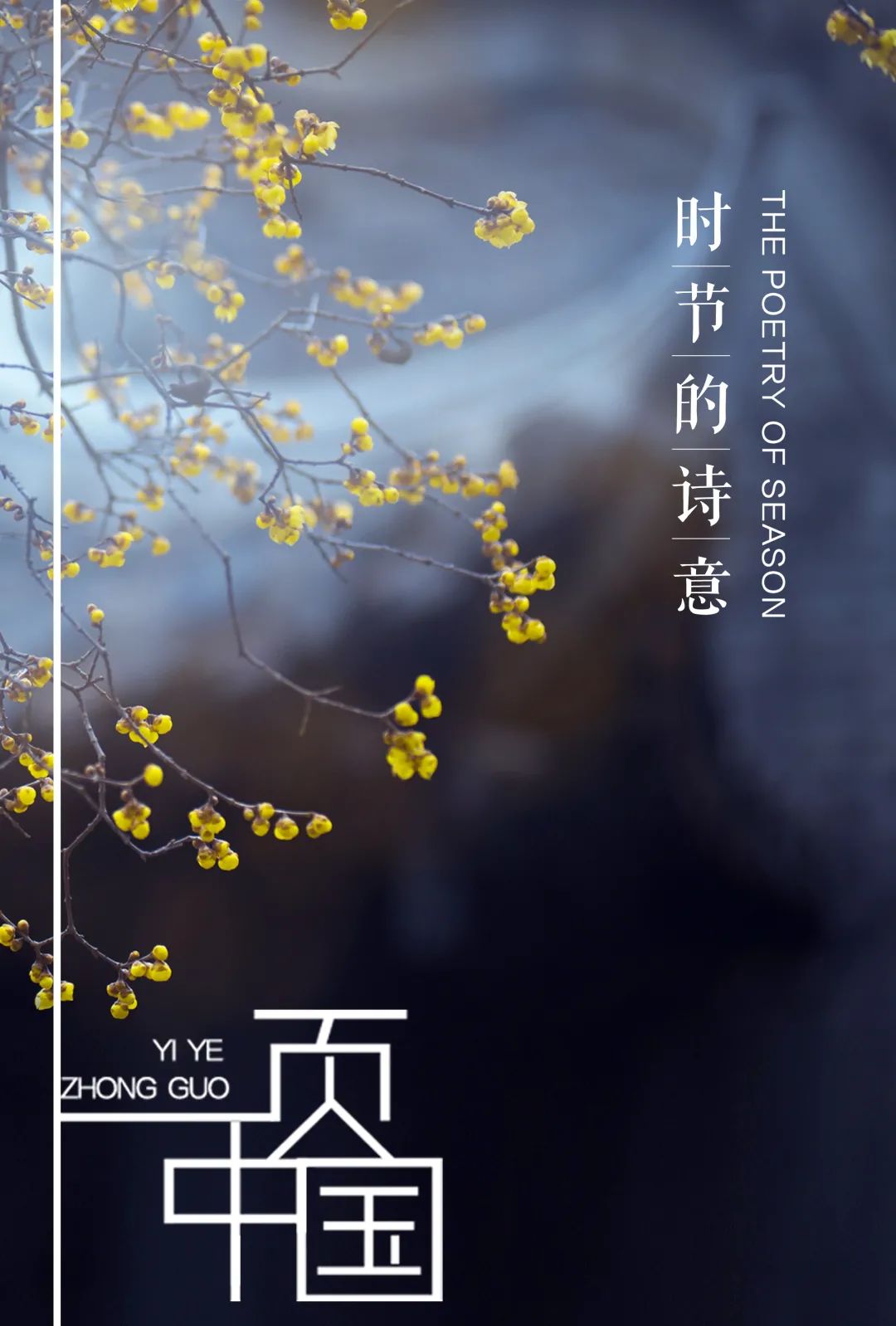 特別策劃 | 茶室中國(guó) NO.1 時(shí)節(jié)的詩意插圖12 特別策劃 | 茶室中國(guó) NO.1 時(shí)節(jié)的詩意插圖12