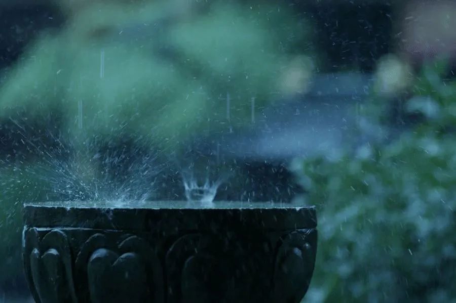 特別策劃 | 茶室中國(guó)NO.2 風(fēng)雨入室來(lái)插圖3 特別策劃 | 茶室中國(guó)NO.2 風(fēng)雨入室來(lái)插圖3